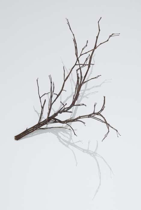 Jonathan Plante, Treesome, 2008, bois, wood,19.5