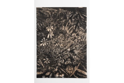 David Lafrance, Camomille tôt ou tard, 2021
Encre sur papier (ENCADRÉE)
73,7 x 53,3 cm (29” x 21”)
