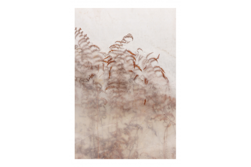<strong>Isabelle Parson, La serre – Fougères et pluie, 2022</strong>
Photographie, impression archive sur Canson Rag Natural (encadrée)
91,4 x 61 cm (36” x 24”)
