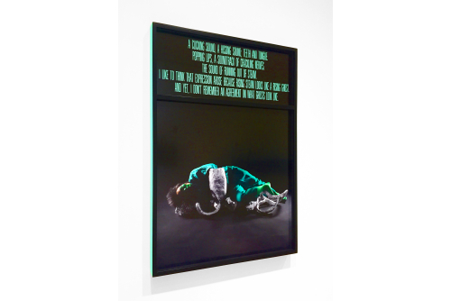 Chloë Lum & Yannick Desranleau, A Clicking Sound, A Hissing Sound; Teeth and Tongue, 2019
Impressions au jet d’encre dans encadrement double
Ed. 1/1
84 x 66 cm (33” x 26”)
3500 $ CAD
