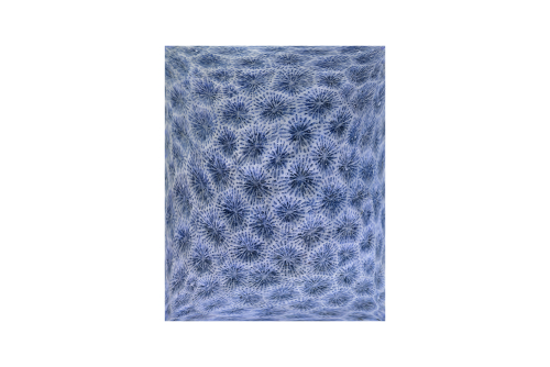 Alain Paiement, Corail hexagonal bleuté, 2022
Inkjet print on Hahnemühle Photo Rag Baryta paper
Mounted on Alupanel (cotton) (FRAMED)
Ed. 1/5
56 x 66 cm (22″ x 26 “)
