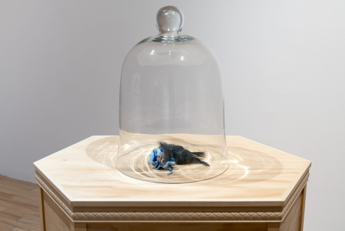 Rajni Perera, Still Life – Tropics 3 (détail), 2023
Argile polymère, plumes de faisan teintées et cloche en verre
41 x 30 x 30 cm (16” x 12” x 12”)
Vendue
