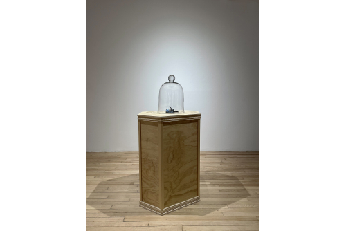 Rajni Perera, Still Life – Tropics 3, 2023
Argile polymère, plumes de faisan teintées et cloche en verre (socle non inclus)
41 x 30 x 30 cm (16” x 12” x 12”)
Vendue
